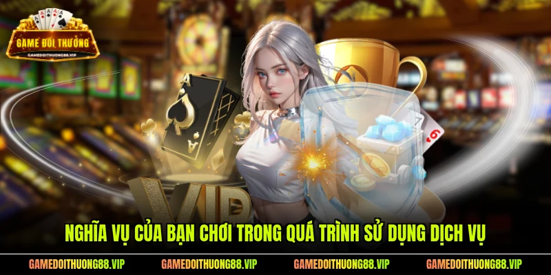 Nghĩa vụ của bạn chơi trong quá trình sử dụng dịch vụ